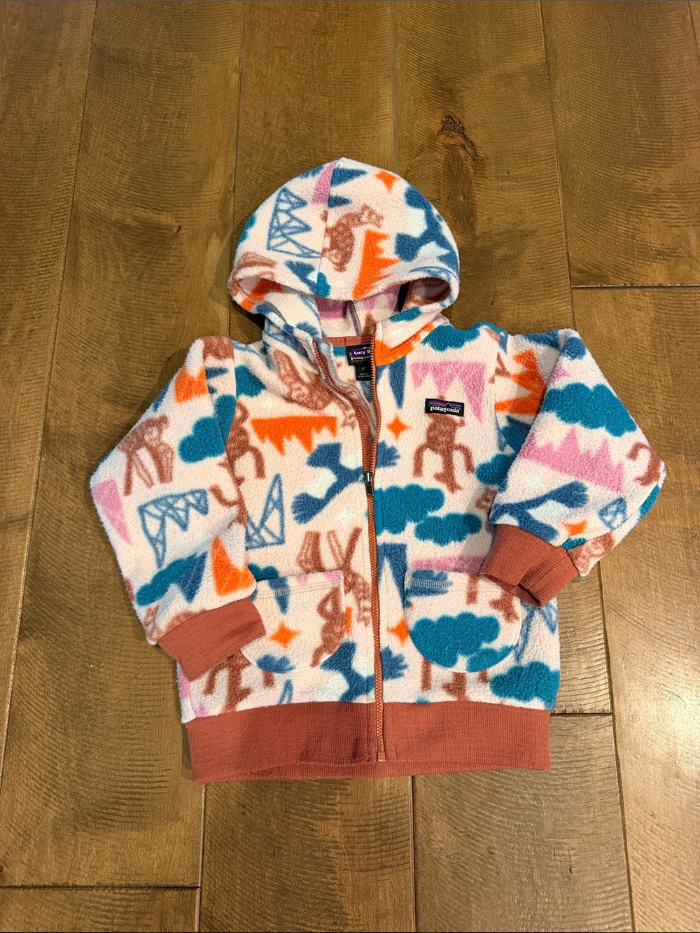 Patagonia Fleece Jacket Hoodie - 4T
